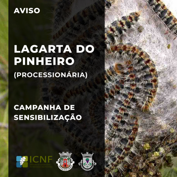Lagarta do Pinheiro | Campanha de Sensibiliza&ccedil;&atilde;o
