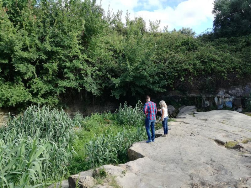 JFAV re&uacute;ne com Quercus