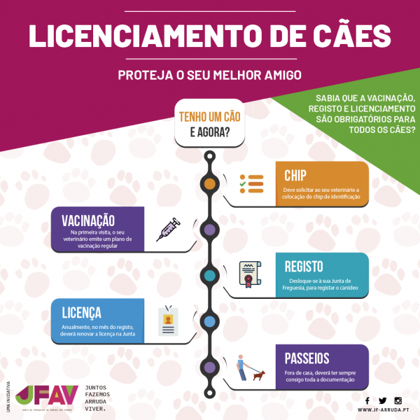 Tenho um c&atilde;o! E agora?