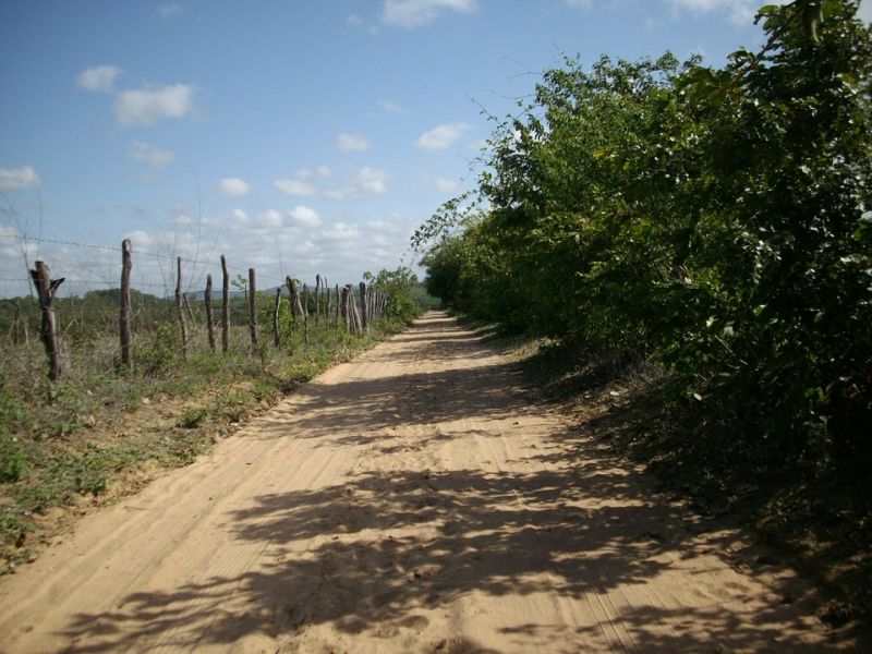 Manuten&ccedil;&atilde;o de Caminhos Municipais