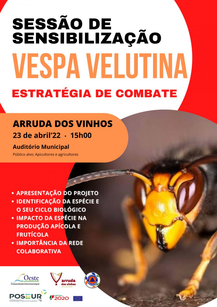 Ação de Sensibilização | Combate à Vespa Asiátiva